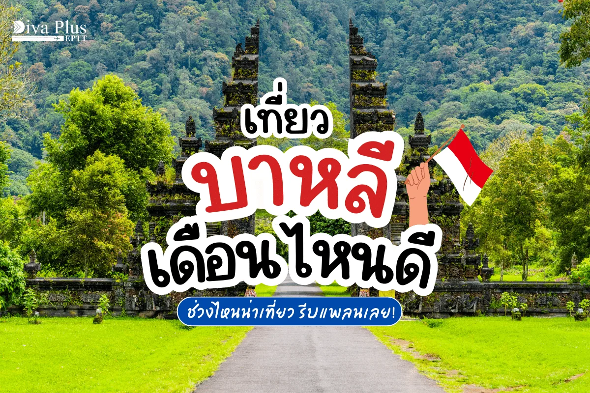 เที่ยวบาหลี เดือนไหนดี? ชมหาดไดโนเสาร์ ดำน้ำที่เกาะกิลี เที่ยวเทศกาลศิลปะ