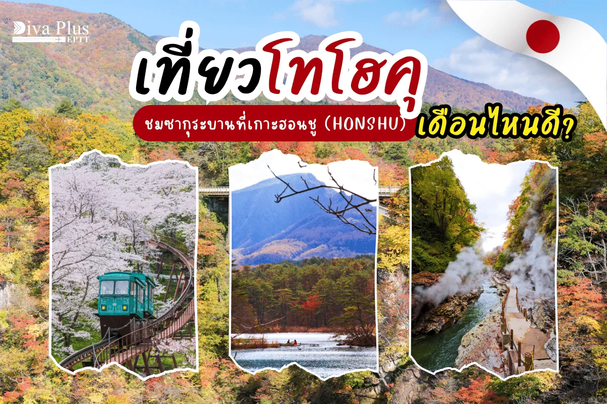 เที่ยวโทโฮคุเดือนไหนดี สัมผัสดอกซากุระบานที่สวนฮิโรซากิ (ซากุระ 2,500 ต้น )