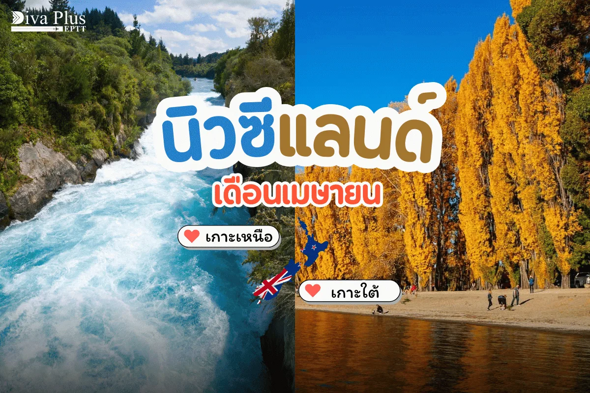 เที่ยวนิวซีแลนด์ เดือนเมษายน เปรียบเทียบเกาะเหนือเกาะใต้ชัดแบบ 1000%