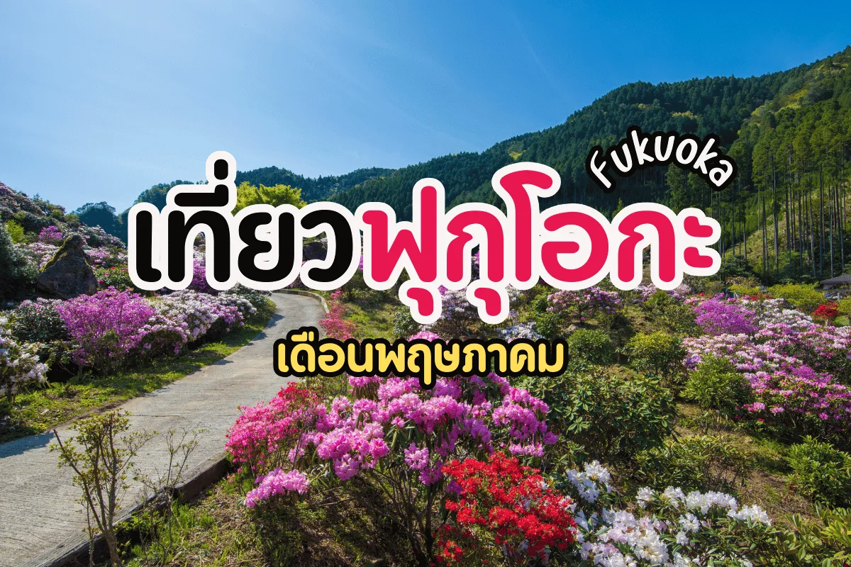เที่ยวฟุกุโอกะ เดือนพฤษภาคม สัมผัสเสน่ห์ธรรมชาติตามฤดูกาล