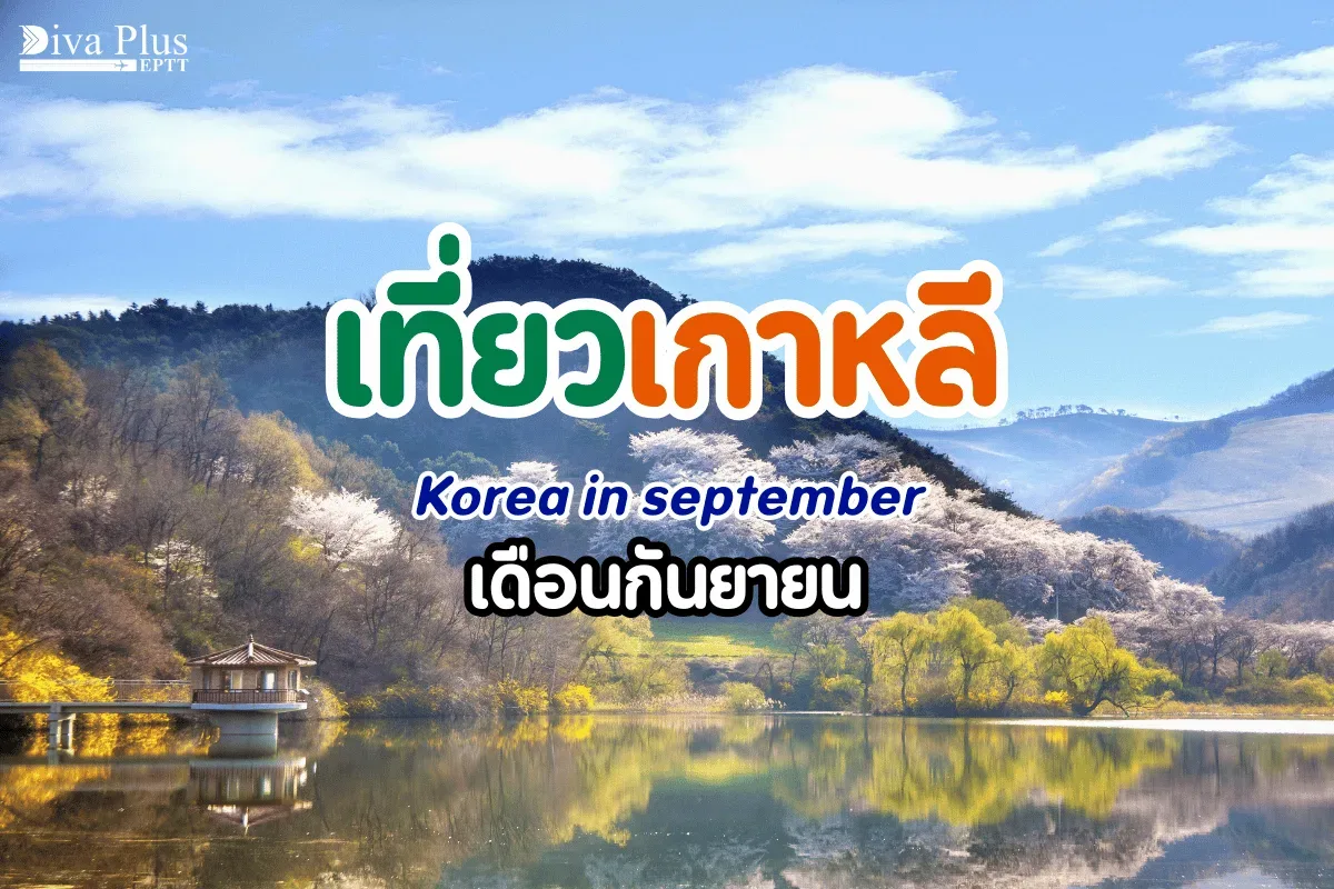 เที่ยวเกาหลี เดือนกันยายน ชมใบไม้เริ่มเปลี่ยนสี 5 พิกัดแนะนำ