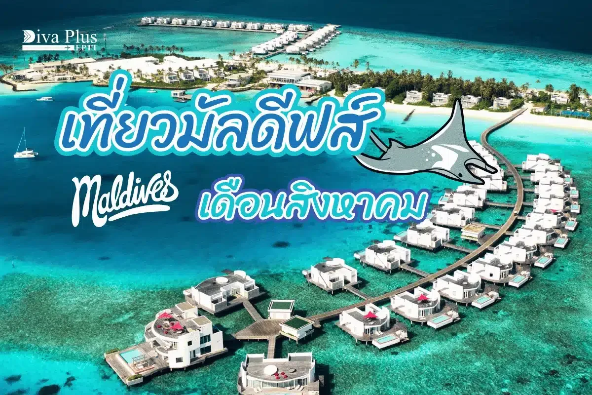 เที่ยวมัลดีฟส์ เดือนสิงหาคม ชมทะเลเรืองแสงและฉลามวาฬ