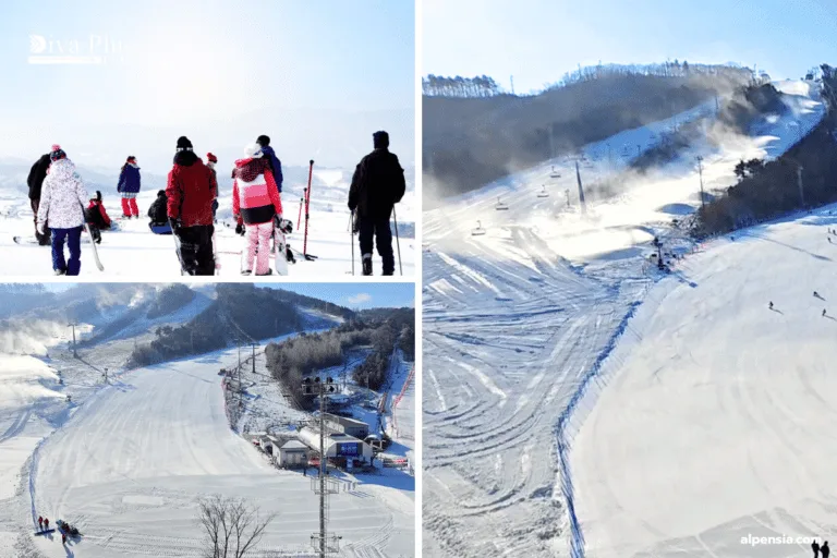 Alpensia Ski Resort