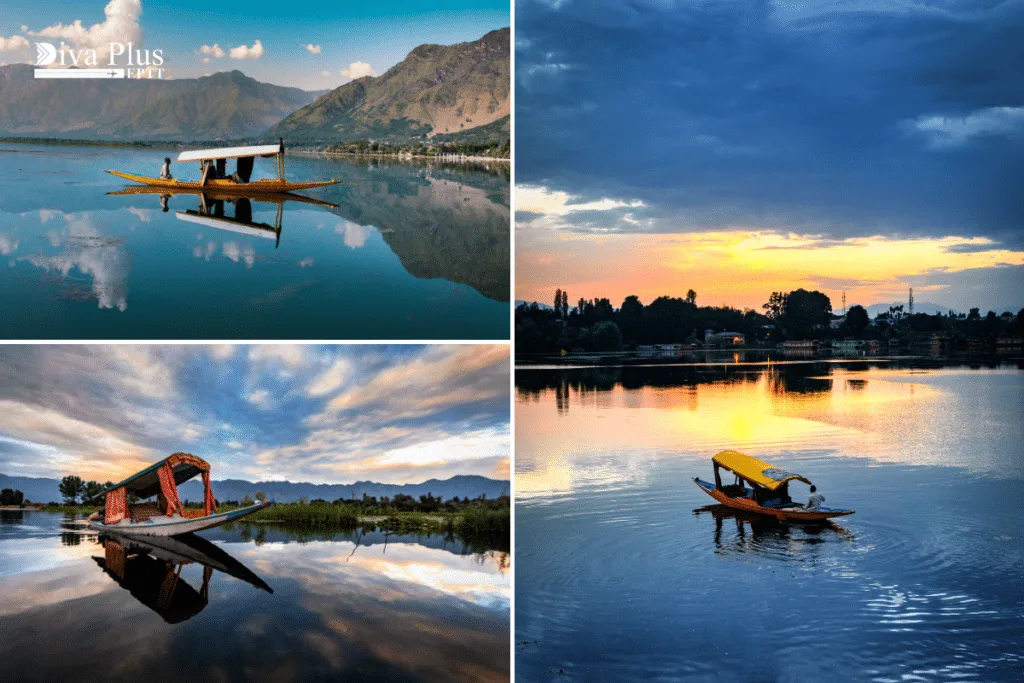 เรือชิคารา (Shikara), ทะเลสาบดาล (Dal Lake)