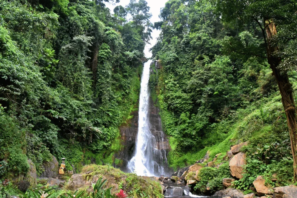 น้ำตกกีตา กีตา (Gitgit Waterfall)
