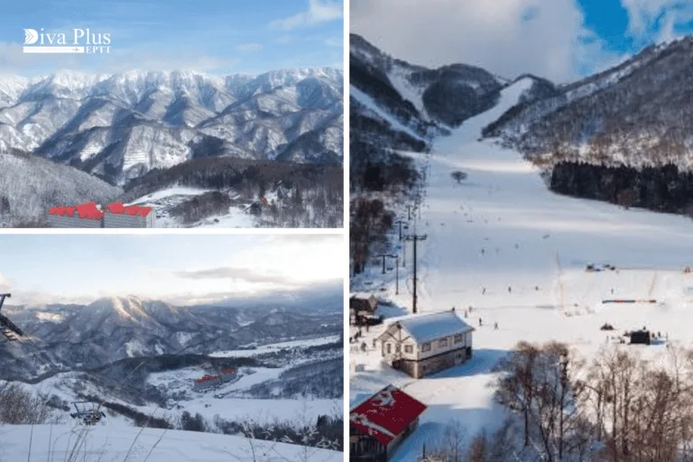 Hakuba Cortina Ski Resort