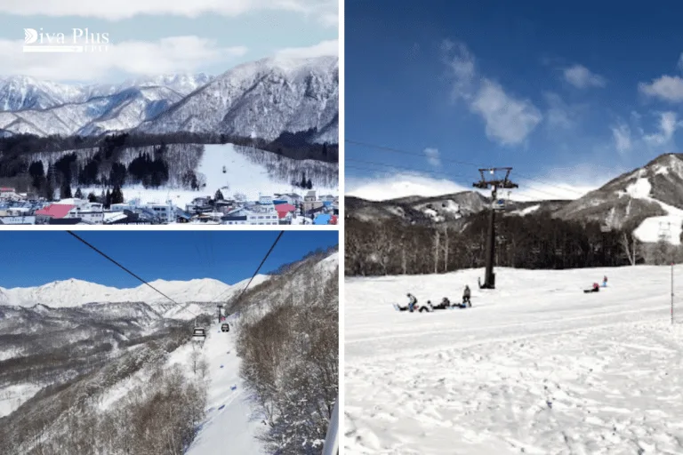 Tsugaike Kogen Ski Resort