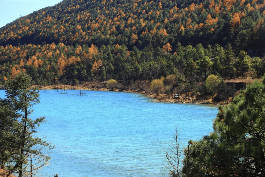Lijiang Autumn