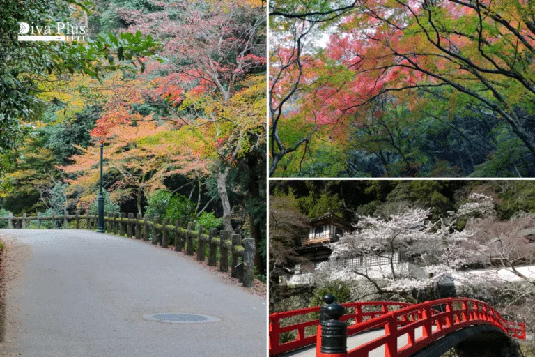Minoh Park