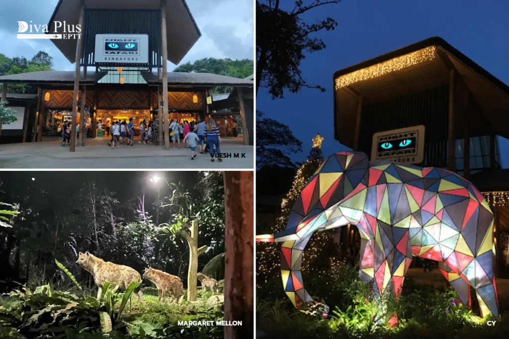 ไนท์ซาฟารี สิงคโปร์ (Night Safari Singapore)