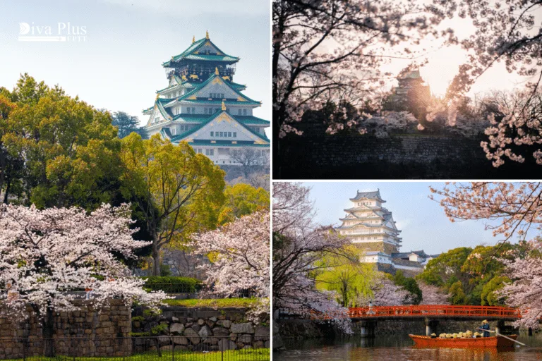 Osaka Castle Park