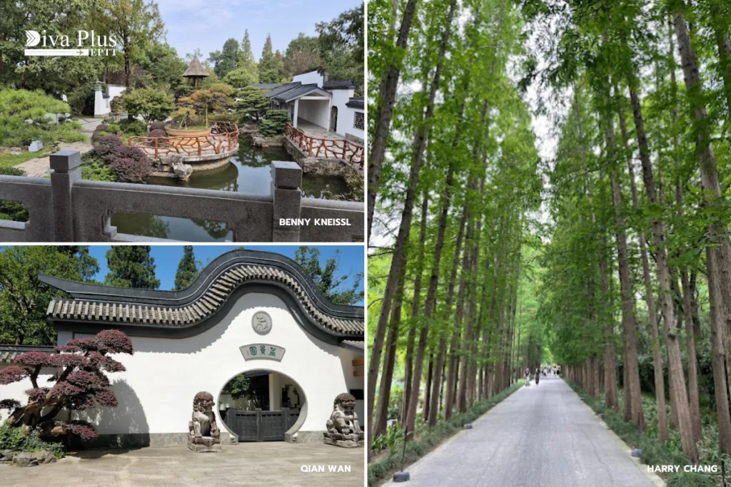 สวนพฤกษศาสตร์เซี่ยงไฮ้ (Shanghai Botanical Garden)