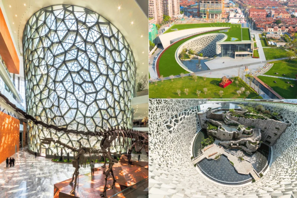 เยี่ยมชมพิพิธภัณฑ์ธรรมชาติเซี่ยงไฮ้ (Shanghai Natural History Museum)