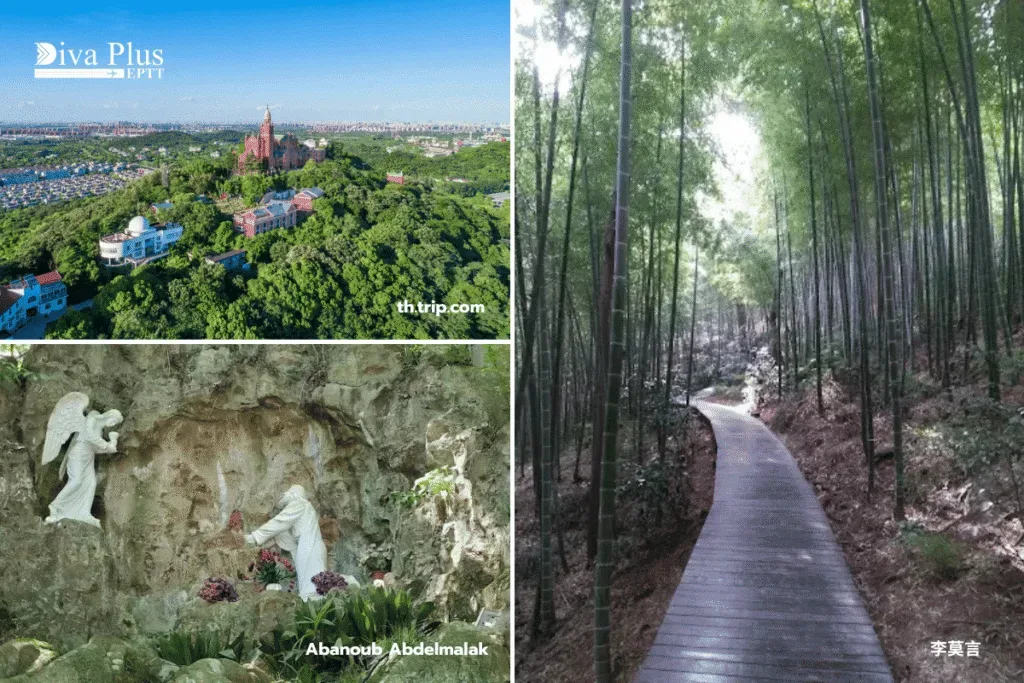 เดินเขาที่อุทยานแห่งชาติป่าเซ่อซาน (Sheshan National Forest Park)