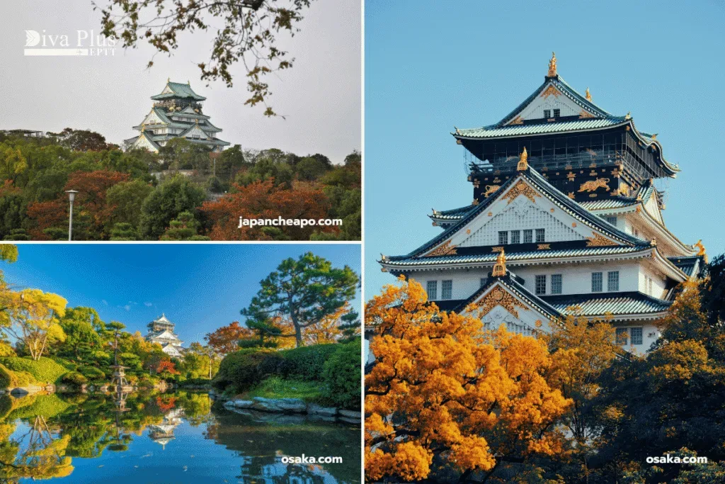 สวนปราสาทโอซาก้าในช่วงเทศกาลดอกเบญจมาศ