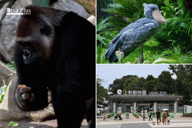 Ueno Zoo