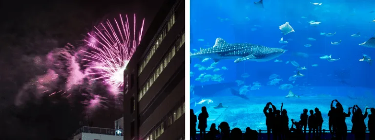 เทศกาลดอกไม้ไฟแม่น้ำสุมิดะ (Sumida River Fireworks Festival), พิพิธภัณฑ์สัตว์น้ำชูราอูมิ (Churaumi Aquarium)