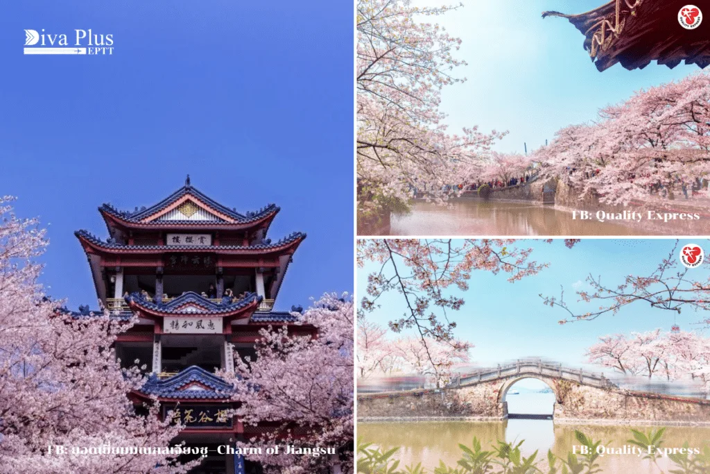 เกาะหยวนโถว Yuantou Island – เมืองอู๋ซี มณฑลเจียงซู
