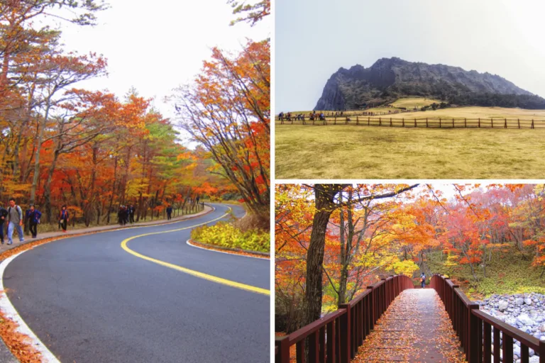 เกาะเชจู