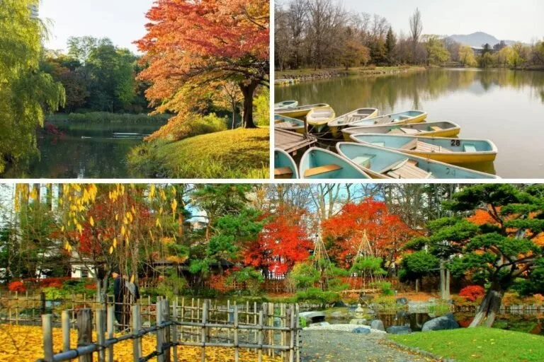 Nakajima Park
